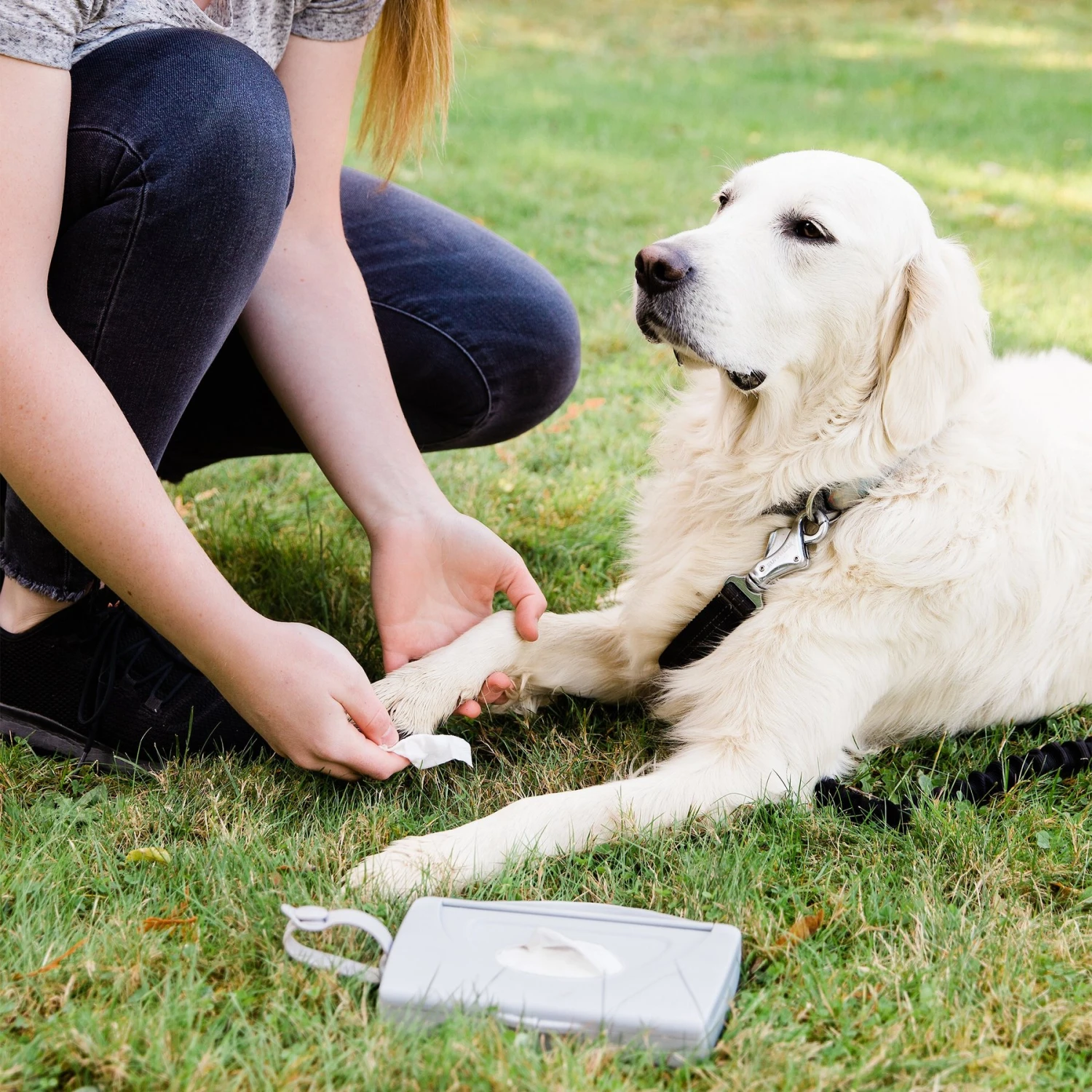 Ubbi® Ubbi On-The-Go Dog & Cat Wipes Dispenser 6 Ubbi® Ubbi On-The-Go Dog & Cat Wipes Dispenser - Image 4