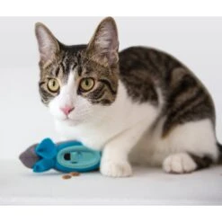 Doc & Phoebe's Cat Co. The Hunting Snacker Interactive Cat Treat Toy, Blue 14 Doc & Phoebe's Cat Co. The Hunting Snacker Interactive Cat Treat Toy, Blue -Cat Supplies 279341 PT3. AC SS1800 V1617402789