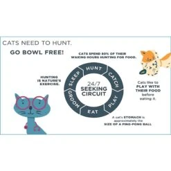 Doc & Phoebe's Cat Co. The Hunting Snacker Interactive Cat Treat Toy, Blue 16 Doc & Phoebe's Cat Co. The Hunting Snacker Interactive Cat Treat Toy, Blue -Cat Supplies 279341 PT5. AC SS1800 V1617400689