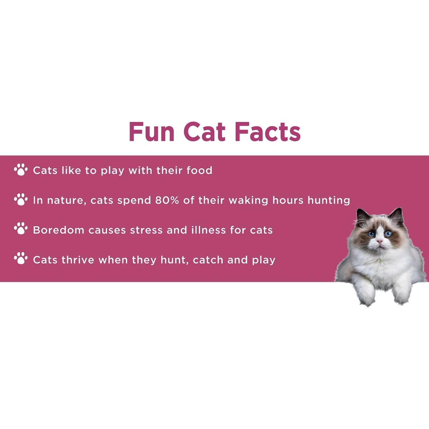 Doc & Phoebe's Cat Co. The Hunting Snacker Interactive Cat Treat Toy, Blue 11 Doc & Phoebe's Cat Co. The Hunting Snacker Interactive Cat Treat Toy, Blue - Image 9