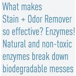 Messy Pet Cat Stain & Odor Remover, 27-oz Bottle -Cat Supplies 279368 PT7. AC SS1800 V1618006920