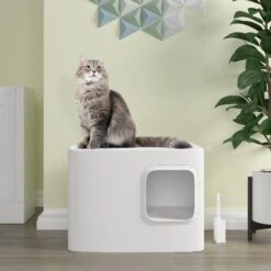 Meowy Studio Loo Enclosed Cat Litter Box Concealment 13 Meowy Studio Loo Enclosed Cat Litter Box Concealment -Cat Supplies 280430 PT2. AC SS1800 V1623358054