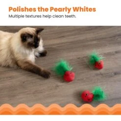 Catstages Straw-Babies Catnip Dental Cat Toy, 3 Count 12 Catstages Straw-Babies Catnip Dental Cat Toy, 3 Count -Cat Supplies 282256 PT3. AC SS1800 V1631687810