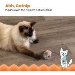 Catstages Squeak Squeak Mouse Cat Toy 10 Catstages Squeak Squeak Mouse Cat Toy -Cat Supplies 282263 PT3. AC SS1800 V1636512259