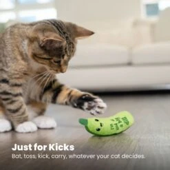 Catstages Crunchy Pickle Kicker Plush Cat Toy With Catnip 13 Catstages Crunchy Pickle Kicker Plush Cat Toy With Catnip -Cat Supplies 282267 PT5. AC SS1800 V1682521227