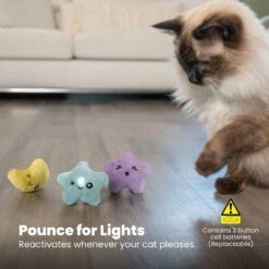 Catstages Toss 'N Twinkle Plush Cat Toy With Catnip, 3 Count 13 Catstages Toss 'N Twinkle Plush Cat Toy With Catnip, 3 Count -Cat Supplies 282271 PT5. AC SS1800 V1682521147