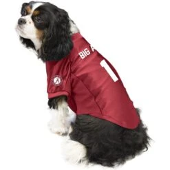 Littlearth NCAA Stretch Dog & Cat Jersey, Alabama Crimson Tide -Cat Supplies 283994 PT2. AC SS1800 V1619409451
