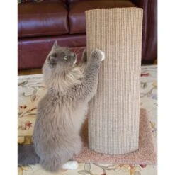 Royal Cat Boutique V-Pad 24-in Sisal Cat Scratching Post -Cat Supplies 284995 PT7. AC SS1800 V1618958888