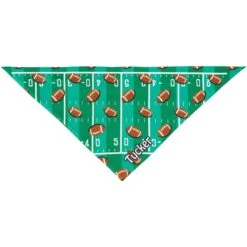 Frisco Football Personalized Dog & Cat Bandana -Cat Supplies 287044 PT3. AC SS1800 V1623246175