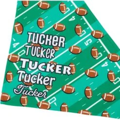 Frisco Football Personalized Dog & Cat Bandana -Cat Supplies 287044 PT4. AC SS1800 V1623246178