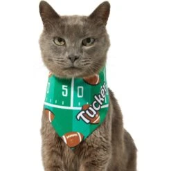 Frisco Football Personalized Dog & Cat Bandana -Cat Supplies 287044 PT7. AC SS1800 V1623246789