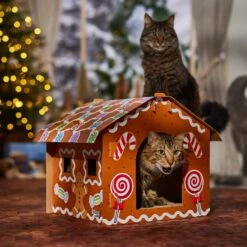 Frisco Holiday Gingerbread House Cardboard Cat House Cat Toy -Cat Supplies 287289 PT4. AC SS1800 V1694813217