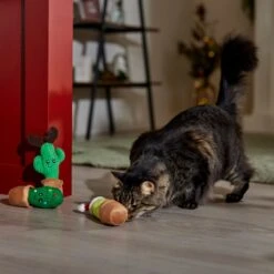 Frisco Holiday Cactus Plush Cat Toy With Catnip, 3 Count -Cat Supplies 287329 PT3. AC SS1800 V1661874421