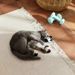 Frisco Pre-Workout & Protein Plush Cat Toy With Catnip, 3 Count -Cat Supplies 288953 PT3. AC SS1800 V1638287817