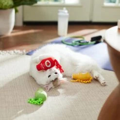 Frisco New Year, New Me Juice Cleanse Plush Cat Toy With Catnip 7 Frisco New Year, New Me Juice Cleanse Plush Cat Toy With Catnip -Cat Supplies 288957 PT3. AC SS1800 V1638292099