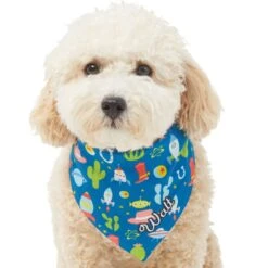 Pixar Toy Story Personalized Dog & Cat Bandana -Cat Supplies 290162 PT6. AC SS1800 V1625155682