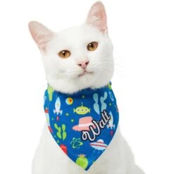 Pixar Toy Story Personalized Dog & Cat Bandana -Cat Supplies 290162 PT7. AC SS1800 V1625153274