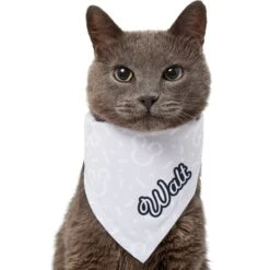 Disney Mickey Mouse Streetwear Personalized Dog & Cat Bandana 17 Disney Mickey Mouse Streetwear Personalized Dog & Cat Bandana -Cat Supplies 290174 PT7. AC SS1800 V1625154485