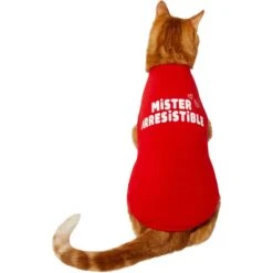 Frisco Mister Irresistible Dog & Cat T-Shirt 11 Frisco Mister Irresistible Dog & Cat T-Shirt -Cat Supplies 292026 PT2. AC SS1800 V1637268745