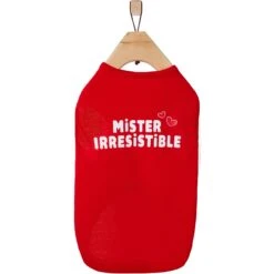 Frisco Mister Irresistible Dog & Cat T-Shirt 12 Frisco Mister Irresistible Dog & Cat T-Shirt -Cat Supplies 292026 PT4. AC SS1800 V1637267791