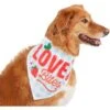 Frisco Love Bites Dog & Cat Bandana 2 Frisco Love Bites Dog & Cat Bandana -Cat Supplies 292054 MAIN. AC SS1800 V1637268755