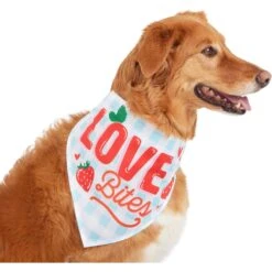 Frisco Love Bites Dog & Cat Bandana