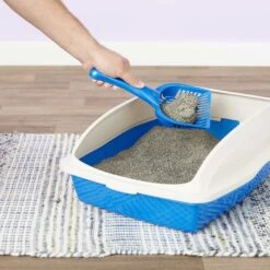 Arm & Hammer Litter Cat Litter Deodorizer Powder & Arm & Hammer Litter Slide Multi-Cat Scented Clumping Clay Cat Litter 17 Arm & Hammer Litter Cat Litter Deodorizer Powder & Arm & Hammer Litter Slide Multi-Cat Scented Clumping Clay Cat Litter -Cat Supplies 292662 PT7. AC SS1800 V1619998628