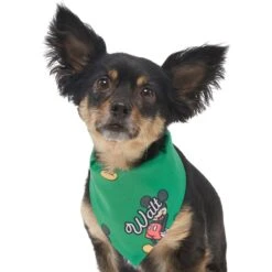 Disney Mickey Mouse Golden Days Personalized Dog & Cat Bandana -Cat Supplies 294293 PT6. AC SS1800 V1625153291