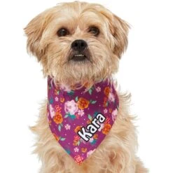 Frisco Fall Floral Personalized Dog & Cat Bandana 17 Frisco Fall Floral Personalized Dog & Cat Bandana -Cat Supplies 296990 PT6. AC SS1800 V1627654305