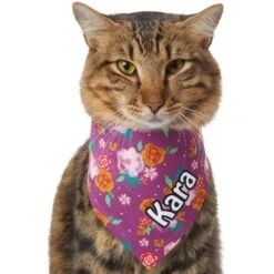 Frisco Fall Floral Personalized Dog & Cat Bandana 18 Frisco Fall Floral Personalized Dog & Cat Bandana -Cat Supplies 296990 PT7. AC SS1800 V1627653979