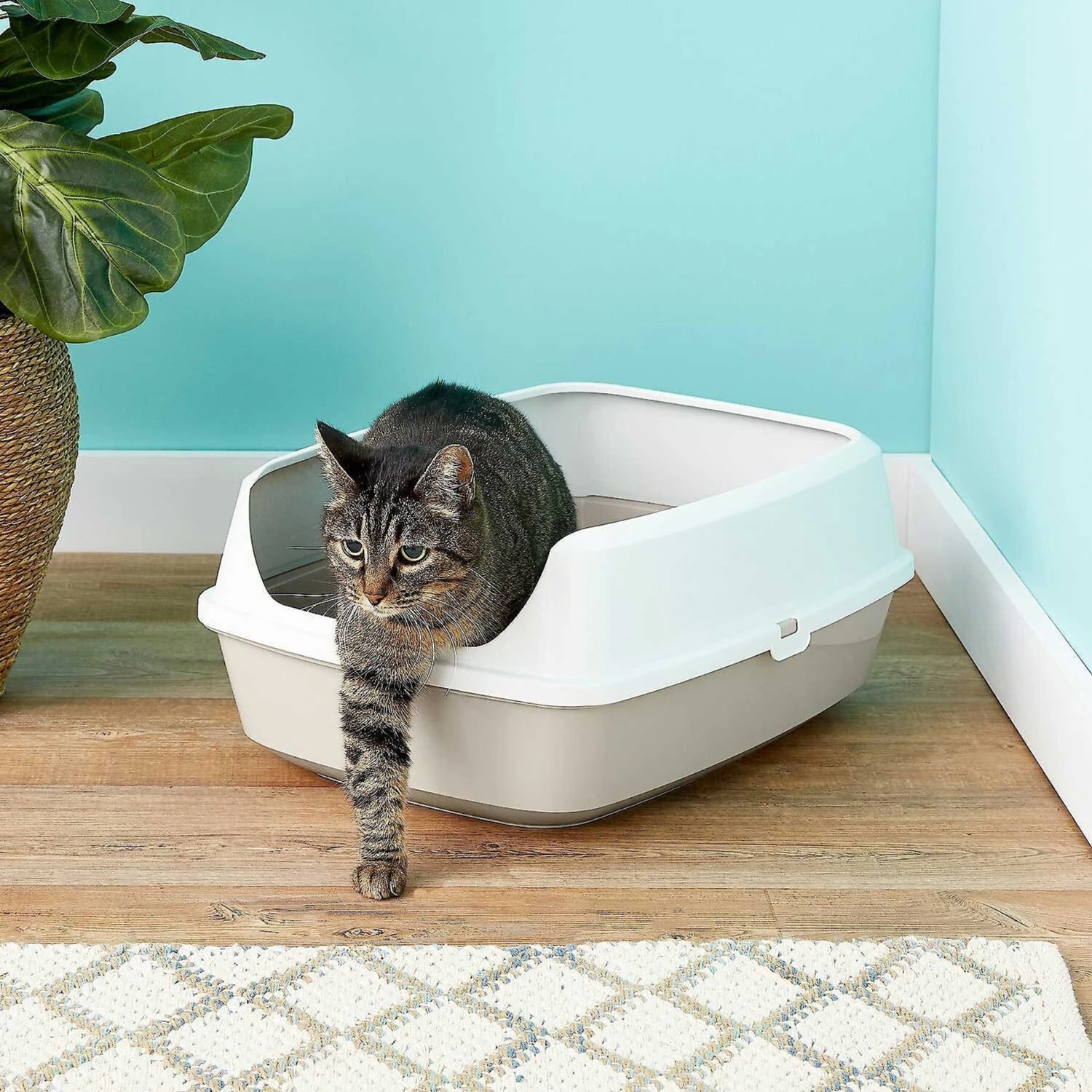 Frisco Decorative Side Table Cat Litter Box Cover & Frisco Open Top Cat Litter Box With Rim, Large 9 Frisco Decorative Side Table Cat Litter Box Cover & Frisco Open Top Cat Litter Box With Rim, Large - Image 7