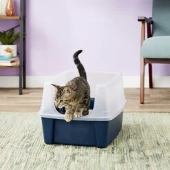 Frisco Plastic Litter Scooper With Caddy & IRIS USA Open Top Litter Box With Scatter Shield 15 Frisco Plastic Litter Scooper With Caddy & IRIS USA Open Top Litter Box With Scatter Shield -Cat Supplies 298166 PT6. AC SS1800 V1623202669