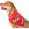 Frisco Official Cookie Tester Personalized Dog & Cat Bandana 2 Frisco Official Cookie Tester Personalized Dog & Cat Bandana -Cat Supplies 301353 MAIN. AC SS1800 V1632923476