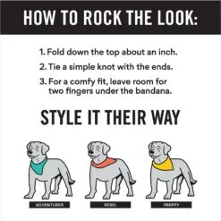 Frisco Fair Isle Personalized Dog & Cat Bandana 12 Frisco Fair Isle Personalized Dog & Cat Bandana -Cat Supplies 301357 PT2. AC SS1800 V1623274656