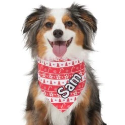 Frisco Fair Isle Personalized Dog & Cat Bandana 16 Frisco Fair Isle Personalized Dog & Cat Bandana -Cat Supplies 301357 PT6. AC SS1800 V1628100112