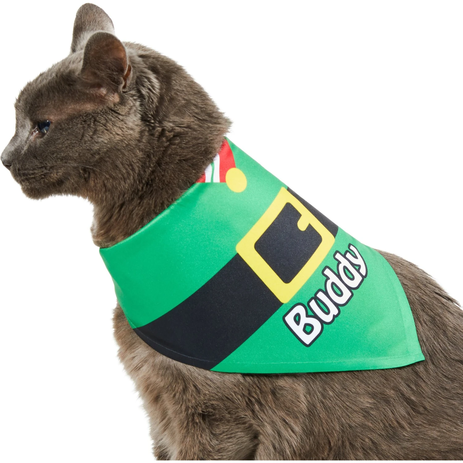 Frisco Santa's Favorite Elf Personalized Dog & Cat Bandana 10 Frisco Santa's Favorite Elf Personalized Dog & Cat Bandana - Image 8