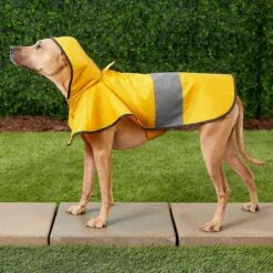 Frisco Lightweight Rainy Days Dog Raincoat & Frisco Lightweight Flamingo Dog Raincoat 15 Frisco Lightweight Rainy Days Dog Raincoat & Frisco Lightweight Flamingo Dog Raincoat -Cat Supplies 302828 PT4. AC SS1800 V1623042144