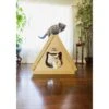 Petique Tippy Peak Eco Cat House 1 Petique Tippy Peak Eco Cat House -Cat Supplies 304764 MAIN. AC SS1800 V1623139079