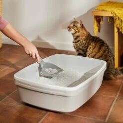 Frisco Attractant Multi-Cat Clumping Clay Cat Litter -Cat Supplies 305403 PT4. AC SS1800 V1659023512