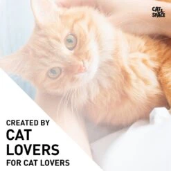 Cat Space Odor Gone Cat Spray, 17-oz Bottle -Cat Supplies 307896 PT4. AC SS1800 V1624662479