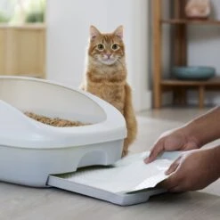 Frisco Cat Litter Pads, Scented -Cat Supplies 309828 PT5. AC SS1800 V1675280050