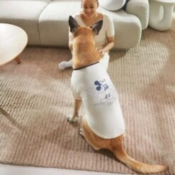 Disney Vintage Mickey Mouse Dog & Cat T-shirt -Cat Supplies 311782 PT8. AC SS1800 V1643329468