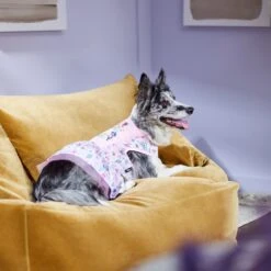 Disney Princesses "Be-YOU-tiful" Dog & Cat Dress -Cat Supplies 311833 PT8. AC SS1800 V1643323941