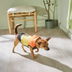 STAR WARS THE MANDALORIAN & GROGU Colorblock Dog & Cat Hoodie -Cat Supplies 311892 PT8. AC SS1800 V1643325712