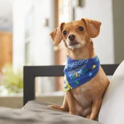 Pixar Monster's Inc "Monsters Make The Best Friends" Dog & Cat Bandana -Cat Supplies 311940 PT8. AC SS1800 V1643330938