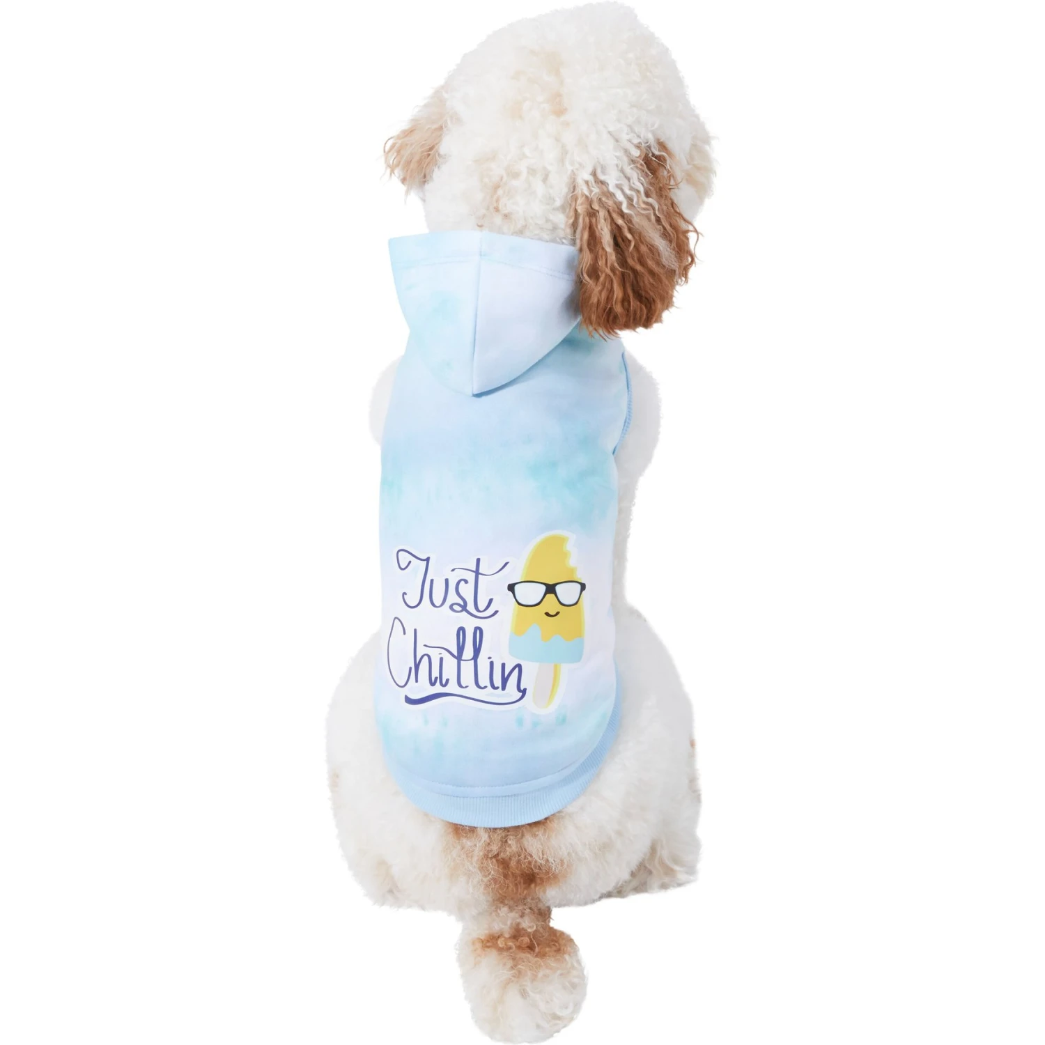 Frisco Just Chillin Dog & Cat Hoodie 3 Frisco Just Chillin Dog & Cat Hoodie