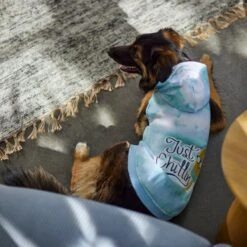 Frisco Just Chillin Dog & Cat Hoodie 15 Frisco Just Chillin Dog & Cat Hoodie -Cat Supplies 312233 PT8. AC SS1800 V1644881922