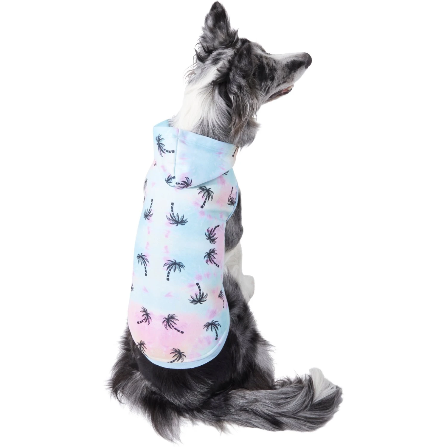 Frisco Palm Tree Dog & Cat Hoodie 3 Frisco Palm Tree Dog & Cat Hoodie