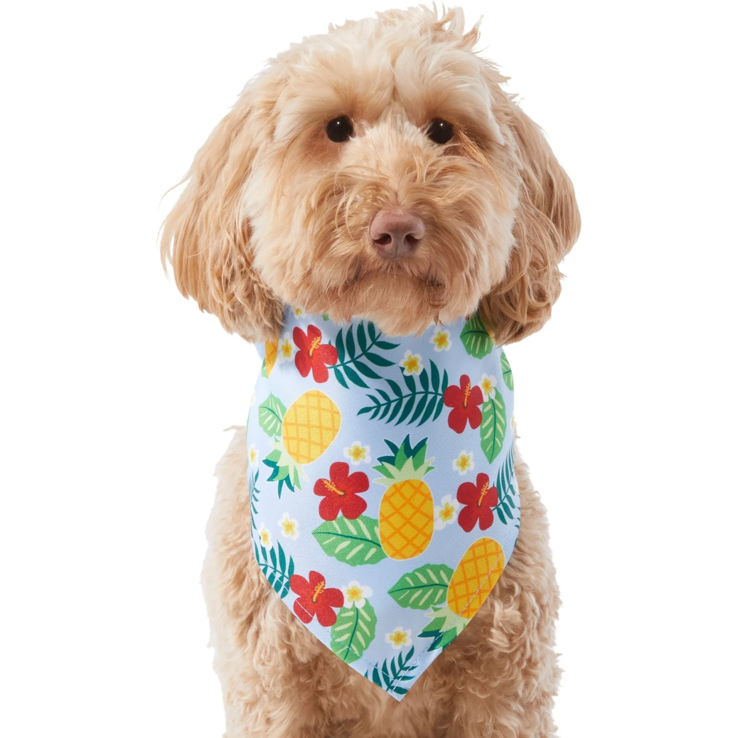 Frisco Hawaiian Pineapple Dog & Cat Bandana 3 Frisco Hawaiian Pineapple Dog & Cat Bandana