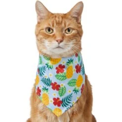 Frisco Hawaiian Pineapple Dog & Cat Bandana 11 Frisco Hawaiian Pineapple Dog & Cat Bandana -Cat Supplies 312300 PT2. AC SS1800 V1644878643